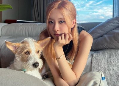 ​倾诉是什么意思 树洞倾诉是什么意思