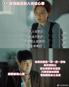 ​《林霞向陆海波求婚成功，共度人生新篇章——改编自畅销小说《激荡》的浪漫爱