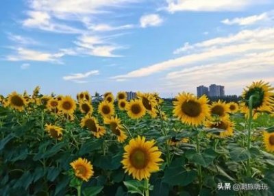 8日游恩施神农架,探索奇怪的自然风光