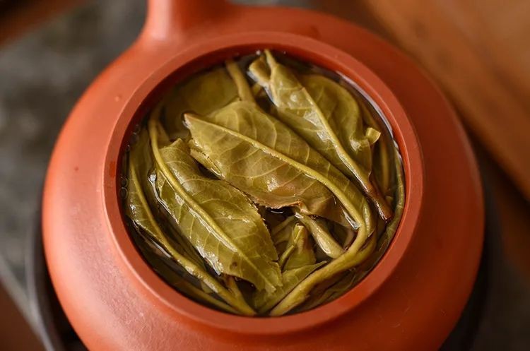 白莺山古树茶特点（花蜜香清香独绝越喝越通透）