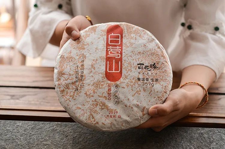 白莺山古树茶特点（花蜜香清香独绝越喝越通透）