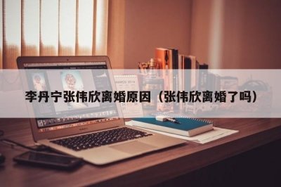 ​李丹宁张伟欣离婚原因（张伟欣离婚了吗）
