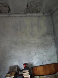​我身边关于动物的三个灵异事件作文,灵异事件簿大全