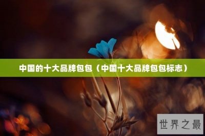 ​中国的十大品牌包包（中国十大品牌包包标志）