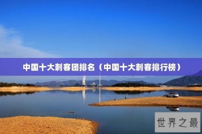 ​中国十大刺客团排名（中国十大刺客排行榜）