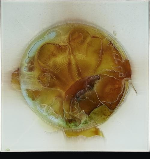 世界十大最震撼错觉（他花了40年用几何错觉艺术）(22)