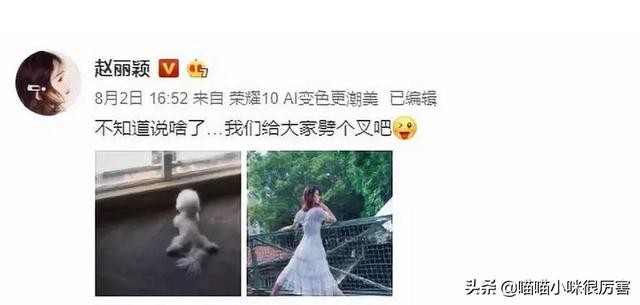 杜淳啥时候结婚了，杜淳官宣结婚了(21)