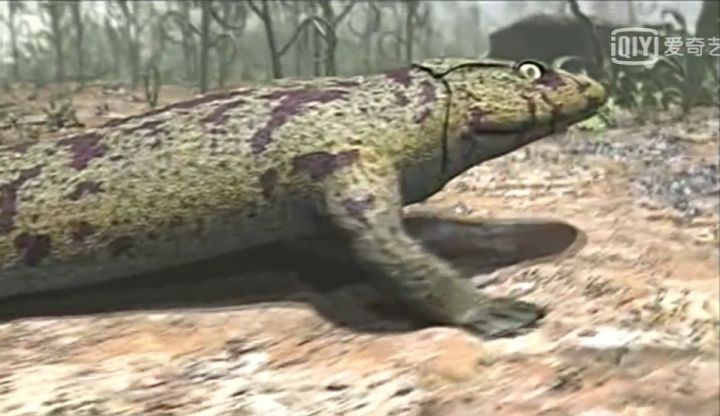 地球生物进化史(一篇文章图解地球四十亿年生命进化史)