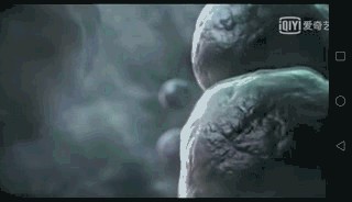 地球生物进化史(一篇文章图解地球四十亿年生命进化史)