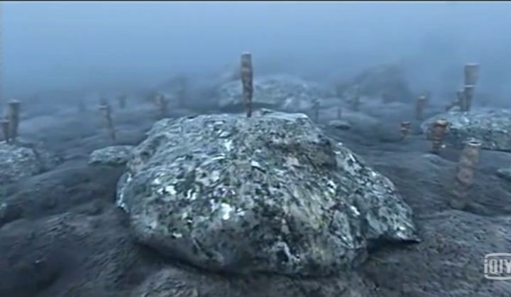 地球生物进化史(一篇文章图解地球四十亿年生命进化史)
