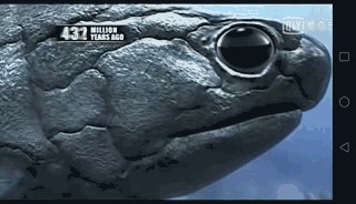 地球生物进化史(一篇文章图解地球四十亿年生命进化史)