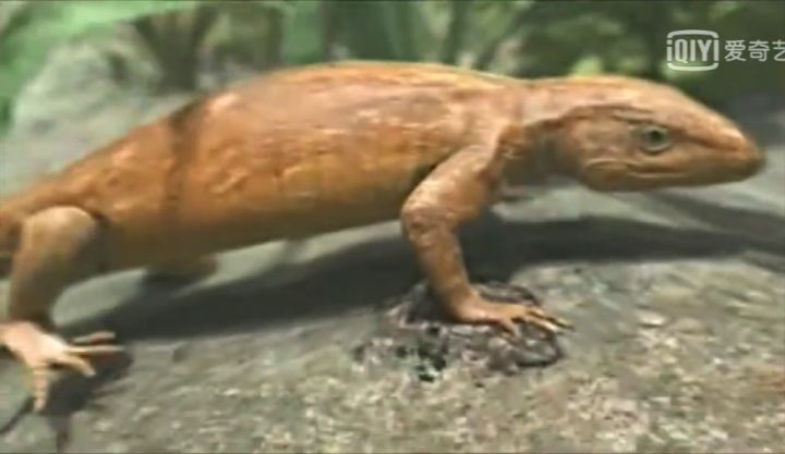 地球生物进化史(一篇文章图解地球四十亿年生命进化史)