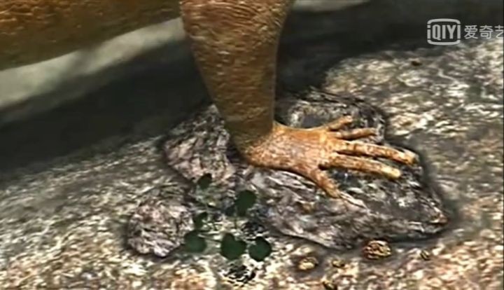 地球生物进化史(一篇文章图解地球四十亿年生命进化史)