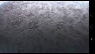 地球生物进化史(一篇文章图解地球四十亿年生命进化史)