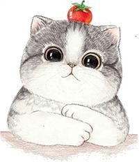 《May It Be》一首让世界一起感动的歌，只听一句，心就彻底沦陷！