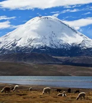 世界上最大的火山爆发排行榜(世界上最大的活火山)-图4