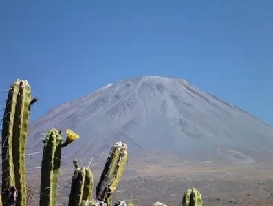世界上最大的火山爆发排行榜(世界上最大的活火山)-图8