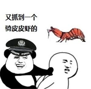 皮皮虾中你想让我这样看吗表情包(最近很火的皮皮虾我们走是什么梗)(7)