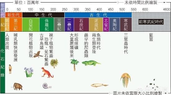 恐龙会不会进化高级文明走了 恐龙为何就不能争气一点呢