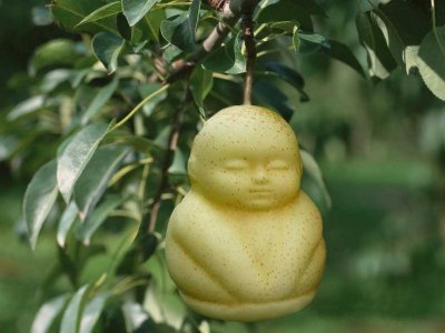 ​世界上最贵的水果（全球10种疯狂的土豪水果）