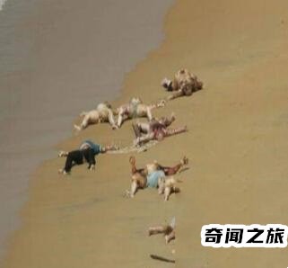 巨人观恐怖照片儿（巨人观可怕不）(1)_