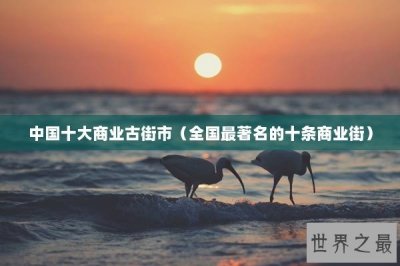 ​中国十大商业古街市（全国最著名的十条商业街）