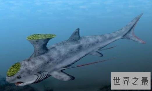 史前十大海洋霸主，第一可以一口吞下20吨食物