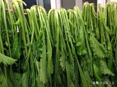 ​雪里红饺子的做法大全（雪里红饺子美食教程分享）