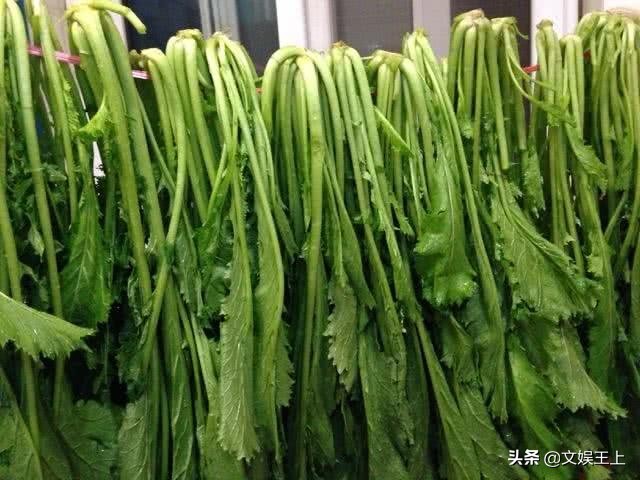 雪里红饺子的做法大全（雪里红饺子美食教程分享）