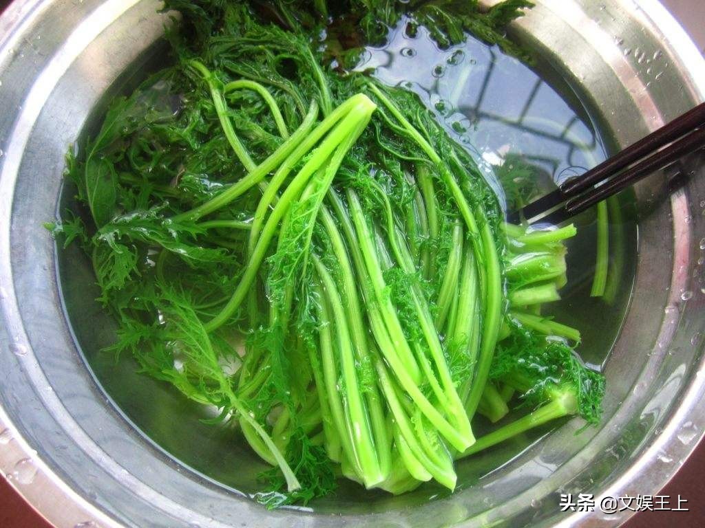 雪里红饺子的做法大全（雪里红饺子美食教程分享）