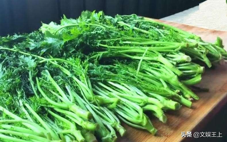 雪里红饺子的做法大全（雪里红饺子美食教程分享）