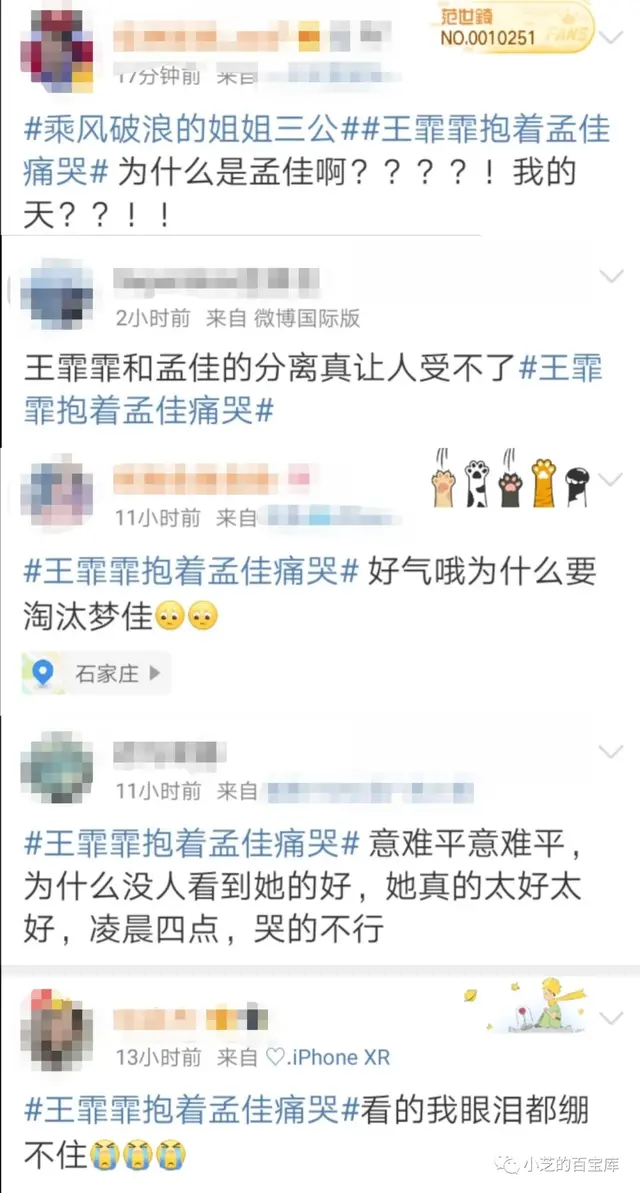 王霏霏是哪个女团(韩国女团王霏霏现状) 王霏霏 女团 第2张