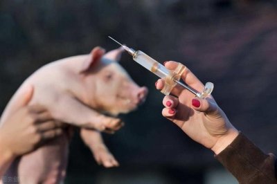 ​用什么方法退烧快(老人发烧用什么方法退烧快)