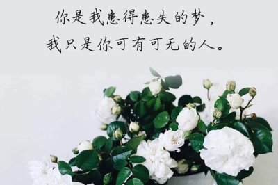 ​抖音你是我患得患失的梦是什么歌 名字叫做《写给黄淮》