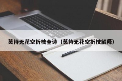 ​莫待无花空折枝全诗（莫待无花空折枝解释）