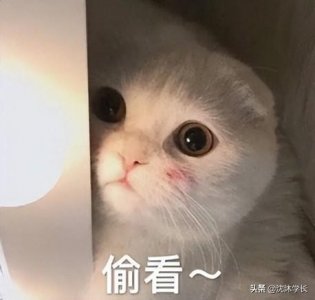 ​四级分数是实际分数吗（四级分数多少算高分）