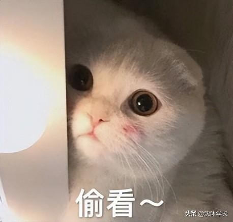 四级分数是实际分数吗（四级分数多少算高分）(1)