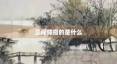 ​三保障指的是什么