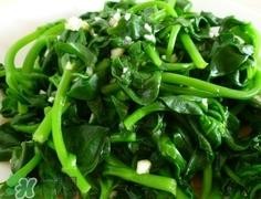 穿心莲的营养价值_穿心莲的功效与作用及食用方法