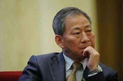 ​中国狂人严介和简介(严介和：娶学生、推平700座山，儿子接下千亿帝国)