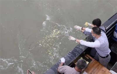 ​海葬的好处和坏处 海葬是否可行