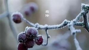 网络配图