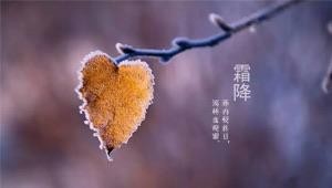 网络配图