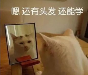 ​每天不知道跟女朋友聊什么，不知道跟女生聊什么