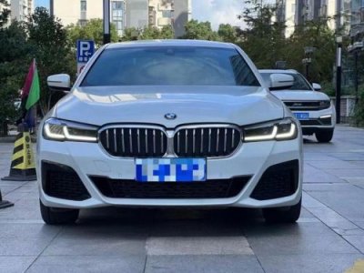 ​宝马530多少钱2025款落地价(宝马530li)