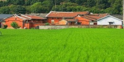 ​农村有什么挣钱商机(农村有什么商机可以赚钱)