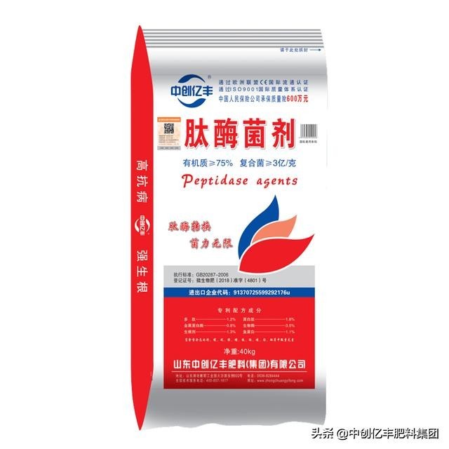 天竺葵花语是什么（天兰葵的含义及养殖方法介绍）