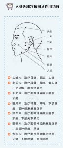 ​人体穴位 史上最全穴位合集！都是健康长寿穴，收藏备用！