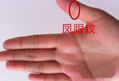 ​凤眼纹手相的女人，旺夫益子，善良又贤惠，娶到就是福气