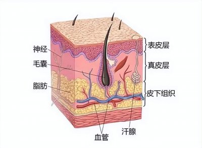 ​孩子被晒黑了,用什么洗发水 小孩被晒黑怎么恢复